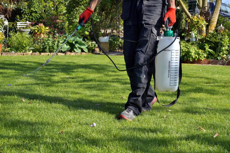 Home Lawn Maintenance