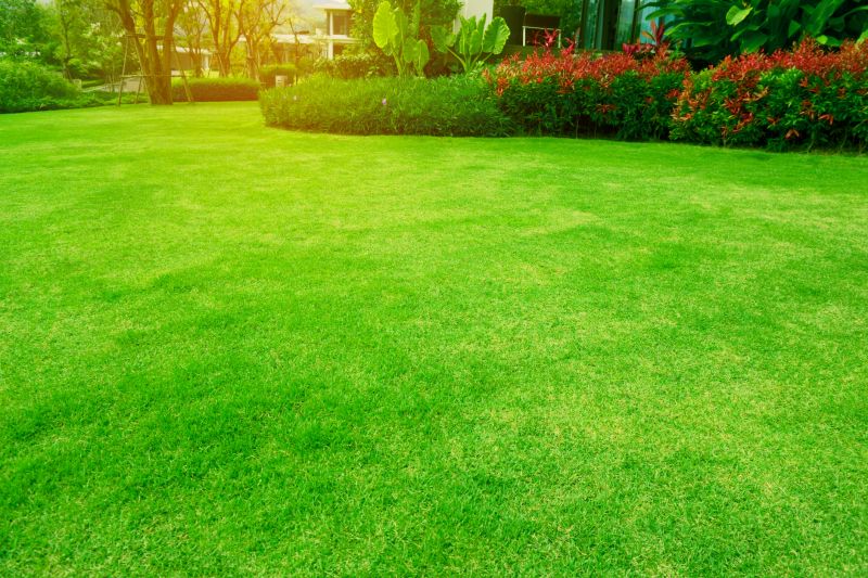 Routine Lawn Care