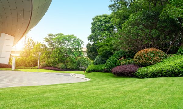 Cost of Commercial Lawn Mowing in Broken Arrow