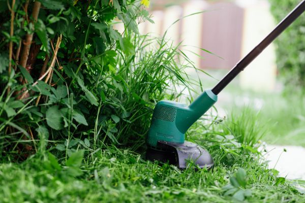 Cost of Weed Whacking in Broken Arrow