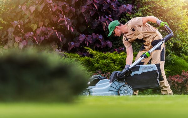 Cost of Yard Care Service in Broken Arrow