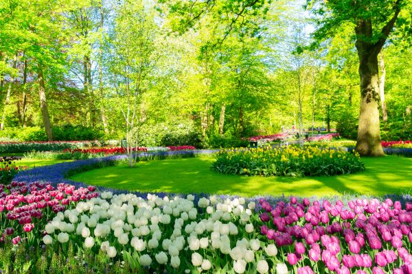Cost of Spring Lawn Care in Broken Arrow