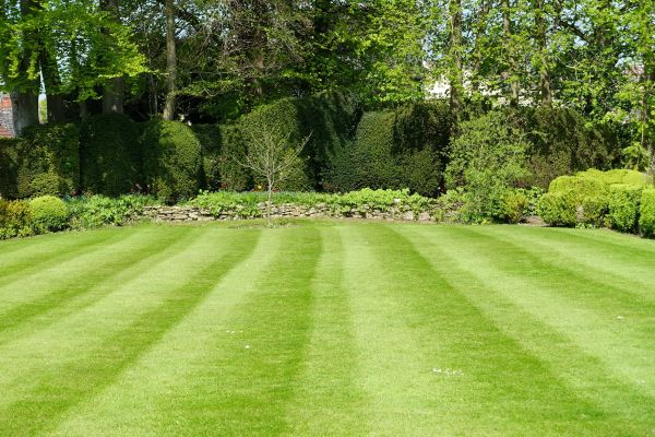Cost of Grass Care Service in Broken Arrow