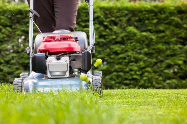 Cost of Grass Trimming Service in Broken Arrow