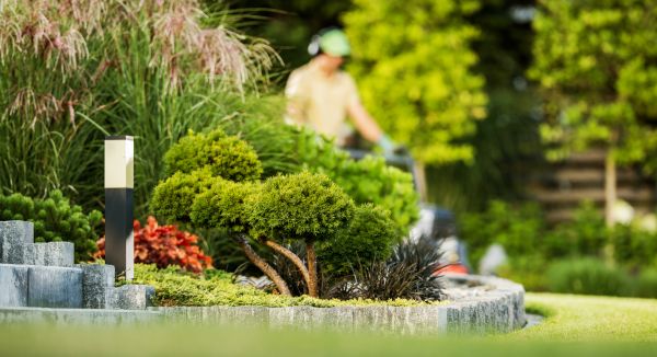 Cost of Residential Yard Maintenance in Broken Arrow