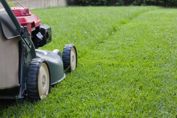 Cost of Spring Lawn Maintenance in Broken Arrow